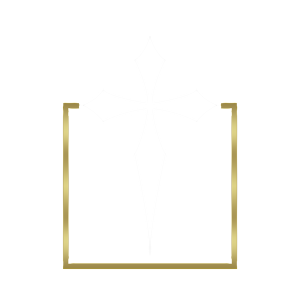 AVISIONFX